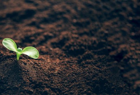 Karanlığın içindeki iyilik