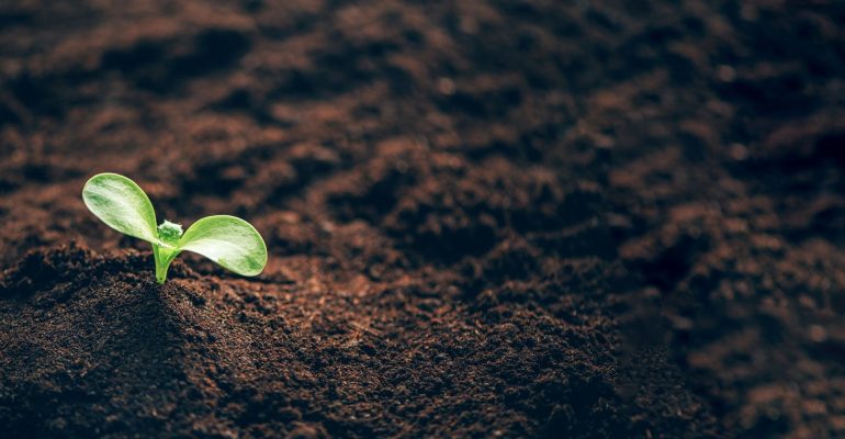 Karanlığın içindeki iyilik