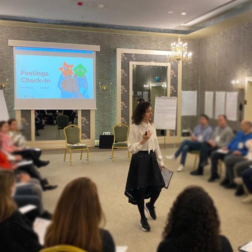 gelişim ve dönüşüm programları 2